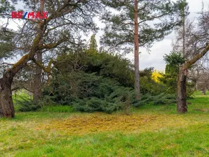 Prodej pozemku pro bydlení, Brno, 2410 m2