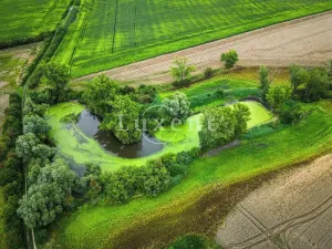 Prodej zemědělské usedlosti, Běrunice, 600 m2