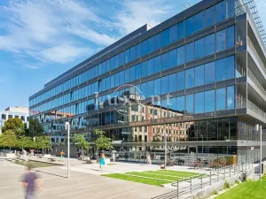 Pronájem kanceláře, Praha - Holešovice, Jankovcova, 330 m2