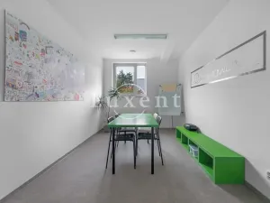 Prodej komerční nemovitosti, Praha - Strašnice, Olešská, 310 m2