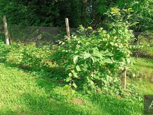 Prodej chaty, Uherský Brod, 25 m2