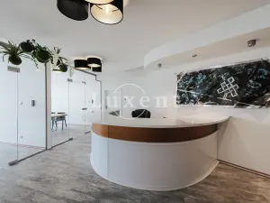 Pronájem kanceláře, Praha - Nové Město, Václavské náměstí, 475 m2