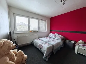 Prodej bytu 5+1, Branice, 254 m2