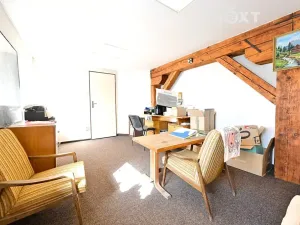 Prodej obchodního prostoru, Bílovec, 817 m2