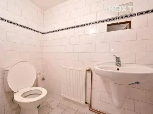 Prodej obchodního prostoru, Bílovec, 817 m2