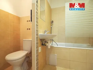 Pronájem bytu 1+kk, Bohumín, Svat. Čecha, 29 m2