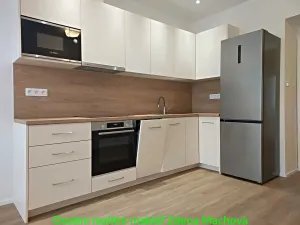 Pronájem bytu 1+1, Praha - Vinohrady, Písecká, 52 m2