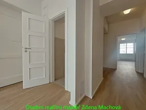 Pronájem bytu 1+1, Praha - Vinohrady, Písecká, 52 m2