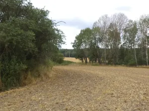 Dražba pozemku pro bydlení, Heřmanova Huť, 1100 m2