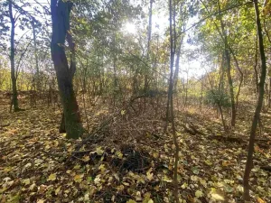 Dražba pozemku pro bydlení, Zdislava, 1043 m2