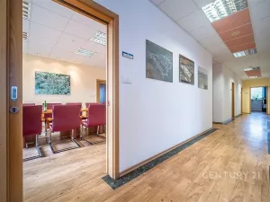 Pronájem kanceláře, České Budějovice - České Budějovice 5, Brigádnická, 9 m2