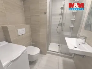 Pronájem bytu 2+kk, Ústí nad Labem - Severní Terasa, Šrámkova, 40 m2