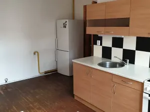 Pronájem bytu 1+1, Teplice, U Vlastního krbu, 45 m2