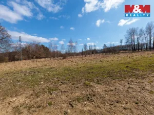 Prodej pozemku pro bydlení, Loket, 8068 m2