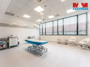 Pronájem komerční nemovitosti, Praha, Jihlavská, 30 m2