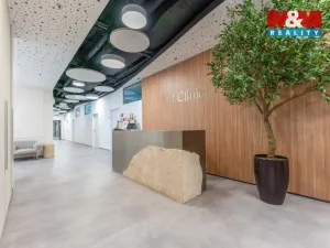 Pronájem komerční nemovitosti, Praha, Jihlavská, 30 m2