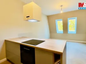 Pronájem bytu 2+kk, Opava - Předměstí, Riegrova, 56 m2