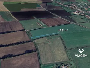 Prodej pole, Bánov, 4681 m2