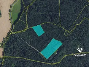 Prodej lesa, Březina, 18560 m2