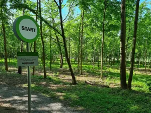 Pronájem kanceláře, Praha - Chodov, Tomíčkova, 3000 m2