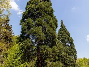 Pronájem kanceláře, Praha - Chodov, Tomíčkova, 3000 m2