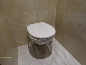 Pronájem bytu 2+kk, Ostrov, Hroznětínská, 55 m2