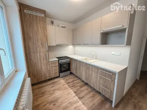 Pronájem bytu 3+1, Vyškov - Vyškov-Předměstí, Trpínky, 64 m2