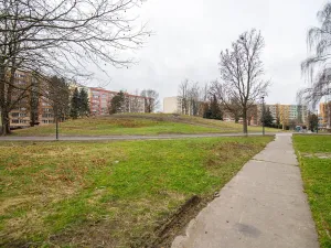 Prodej bytu 3+1, Ostrava, Ahepjukova, 67 m2