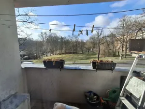 Prodej bytu 3+1, Cheb, Americká, 61 m2