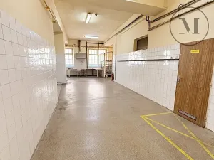 Prodej výrobních prostor, Netolice, Bavorovská, 650 m2