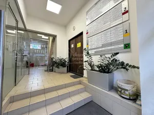 Pronájem obchodního prostoru, Praha - Karlín, Thámova, 33 m2