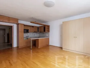 Pronájem bytu 1+kk, Praha - Michle, Jemnická, 39 m2
