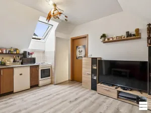 Prodej vícegeneračního domu, Brandýs nad Labem-Stará Boleslav, Královická, 243 m2