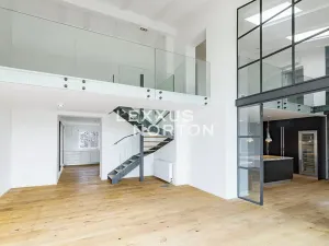 Pronájem bytu 6+kk a větší, Praha - Bubeneč, Mlýnská, 325 m2