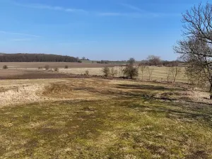 Prodej pozemku pro bydlení, Češov, 1000 m2