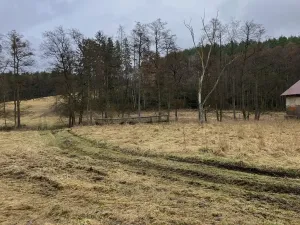 Prodej zemědělského objektu, Dolní Město, 124655 m2