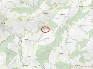 Prodej lesa, Pošná, 3636 m2