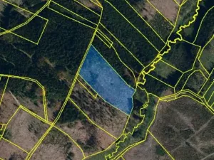 Prodej lesa, Pošná, 12283 m2