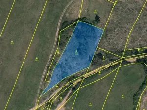 Prodej lesa, Číchov, 3220 m2