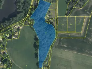 Prodej lesa, Krahulov, 7403 m2