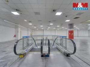 Pronájem obchodního prostoru, Plzeň - Východní Předměstí, Americká, 1603 m2