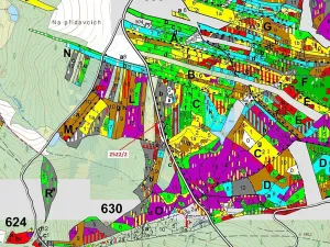 Dražba lesa, Kunžak, 8933 m2