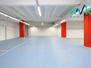 Pronájem obchodního prostoru, Sokolov, Karla Havlíčka Borovského, 720 m2