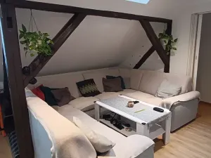 Prodej vícegeneračního domu, Brno, Nováčkova, 380 m2