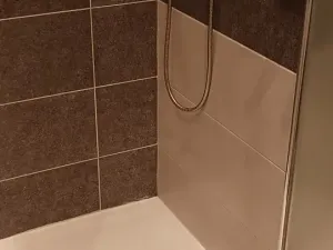 Prodej vícegeneračního domu, Brno, Nováčkova, 380 m2