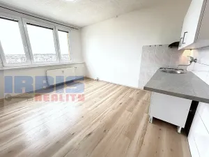 Prodej bytu 1+1, Plzeň, Nade Mží, 35 m2