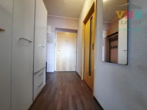 Pronájem bytu 1+kk, Olomouc, Družební, 37 m2