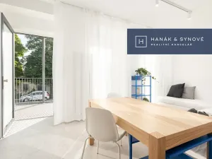 Pronájem bytu 1+kk, Brno, Francouzská, 26 m2