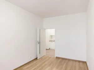 Pronájem bytu 2+1, Praha - Bubeneč, U zeměpisného ústavu, 46 m2