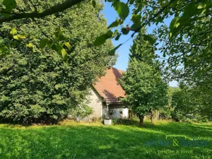 Prodej zemědělské usedlosti, Božanov, 290 m2